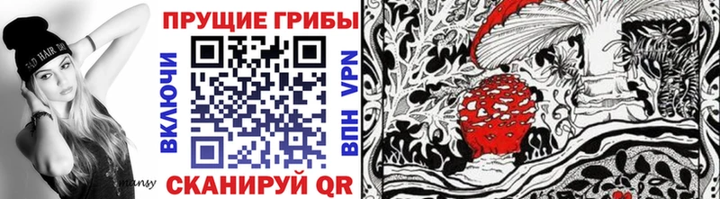 закладка  Мезень  мега ссылки  Галлюциногенные грибы мухоморы 