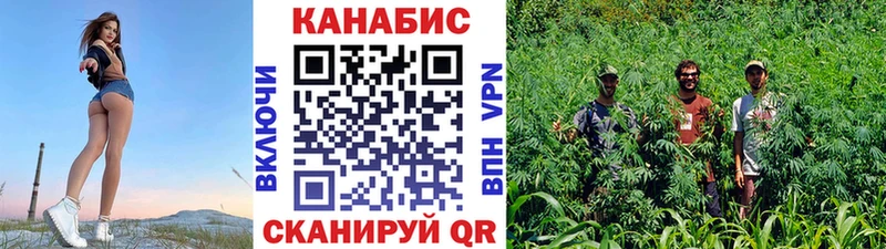 Конопля VHQ  площадка наркотические препараты  Мезень 